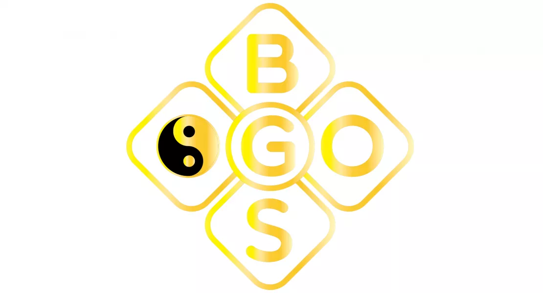 BGS GO